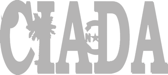 as-img1